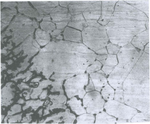 خوردگی مرزدانه ای آلومینیوم